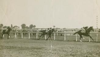 A photograph of a horse race in progress on a dirt track. Three horses can be seen; the one in  ...