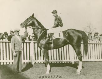 A photograph of a horse standing in a grassy area, with a fence behind the horse and spectators ...