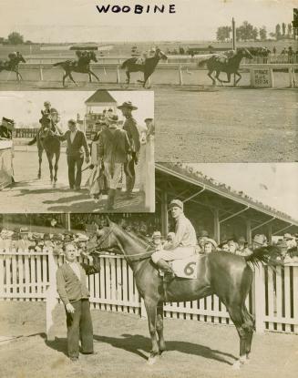 Three photographs of a horse racing track. The top photo shows four horses galloping on a dirt  ...
