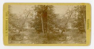 Pictures show a man and a large dog sitting on a river bank which is surrounded by trees,