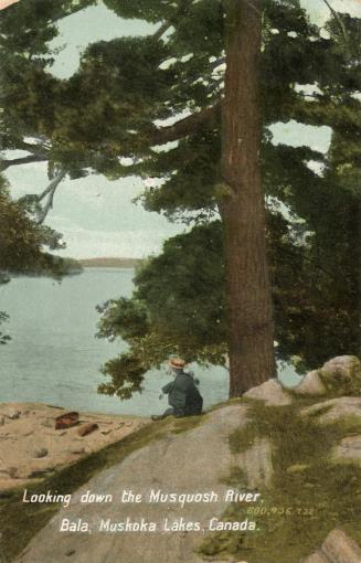 Colorized photograph of a a man sitting on a rock under a large tree looking out over a river.