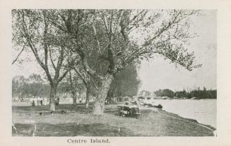 A photograph of a parkland area, with trees, water on the right side and people walking on the  ...