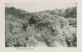 A photograph of a ravine, with a bridge crossing over a wooded area with walking paths. There i ...