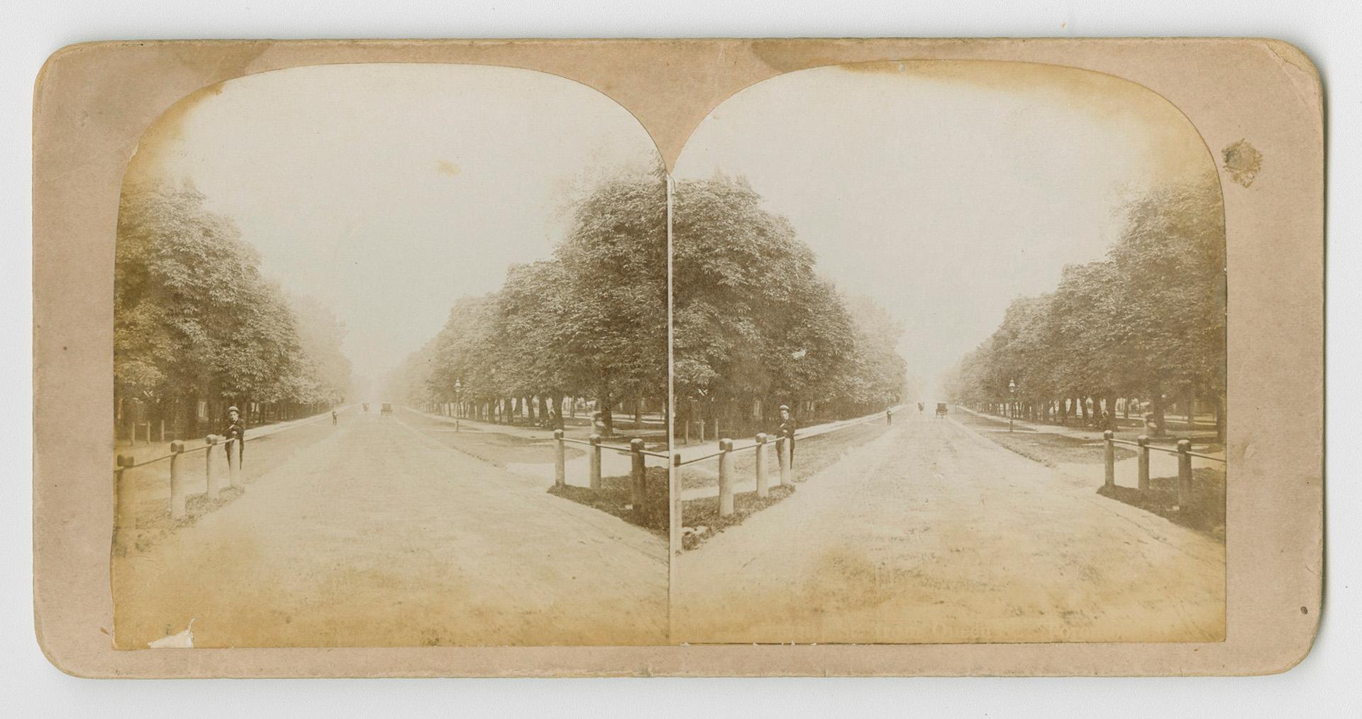 Pictures show a road lined with trees with a gate in front of it.