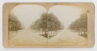 Pictures show a road lined with trees with a gate in front of it.