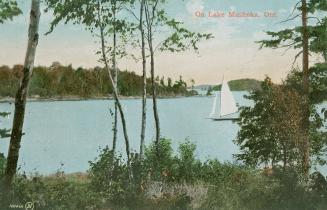 A sailboat on a large lake in the wilderness.