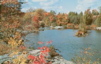Color photograph of trees, rocks and water in autumn.