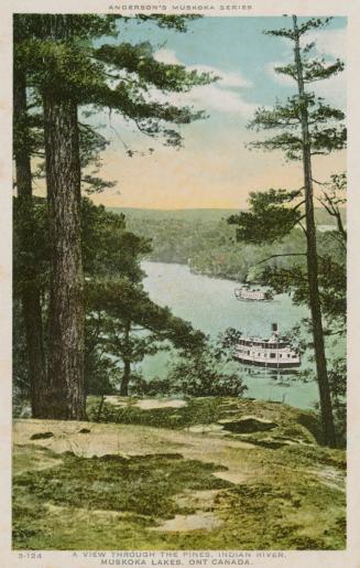 Two steam ships on a river as seen from high on a rocky ledge.