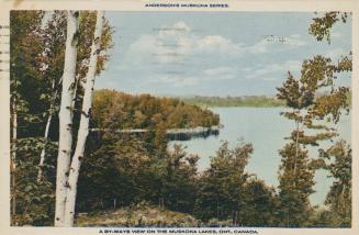 A lake inside a wooded landscape with birch trees in the foreground.