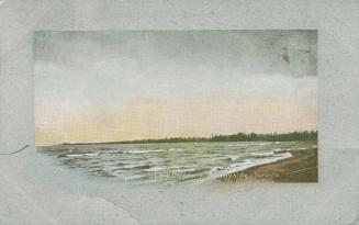Picture of a lake and beach and trees in distance around the shore. 