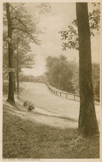 Sepia toned picture of a path running down a wooded area with a wooden guard rail.