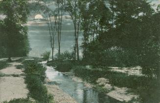Picture shows a full moon over a creek in the woods.
