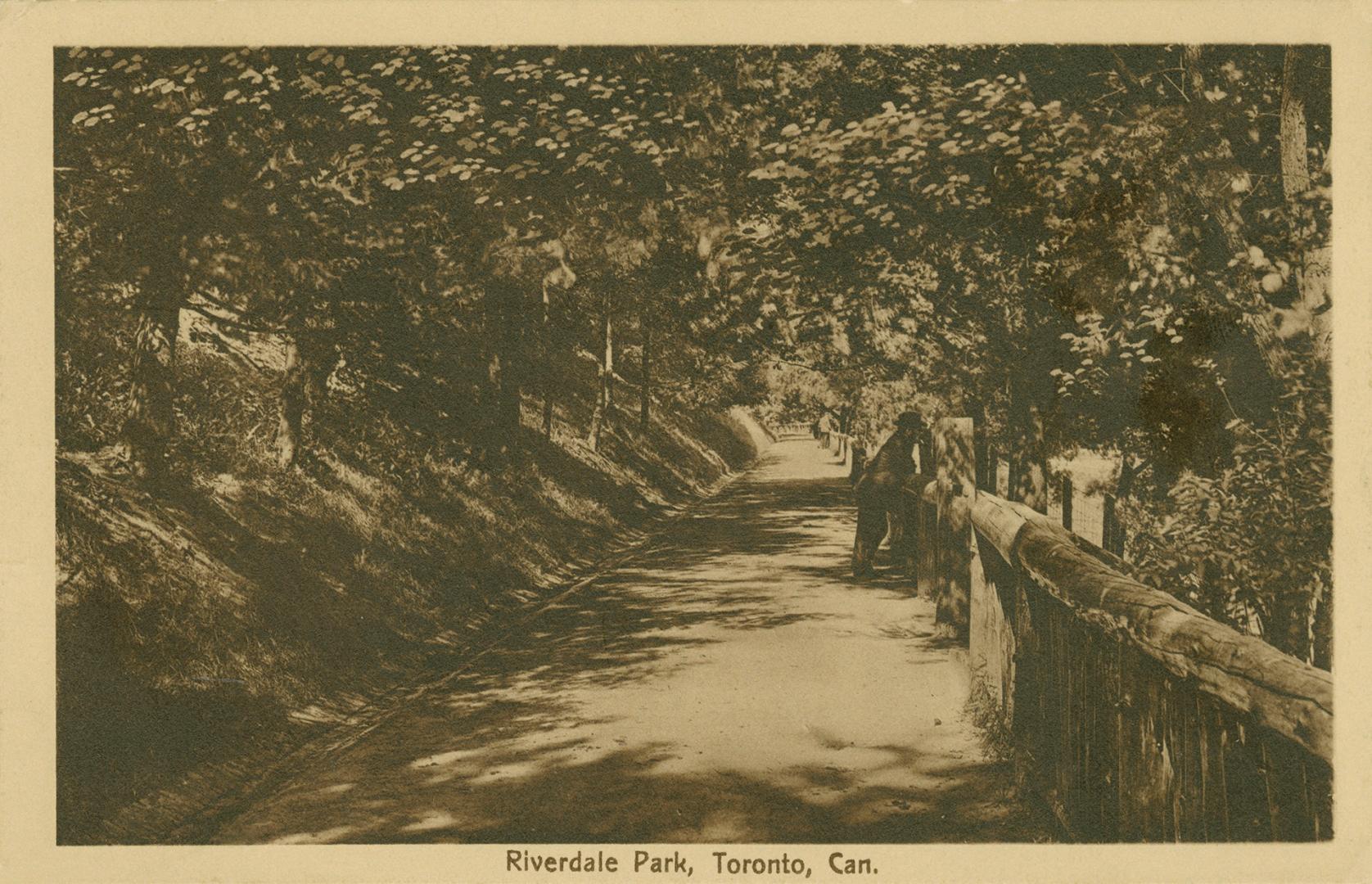 Sepia toned picture of a pathway in a wooded area with a log fence to the right.