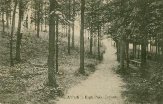Black and white picture of a path weaving through a wooded area.