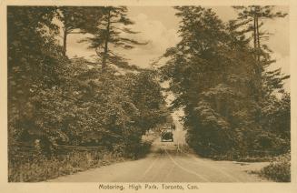 Sepia toned photograph of two cars driving through a wooded area.