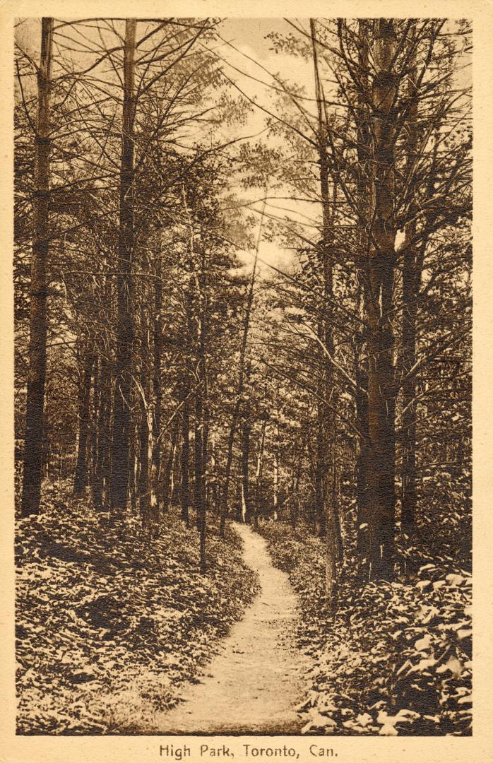 Sepia toned picture of a path running into a wooded area.