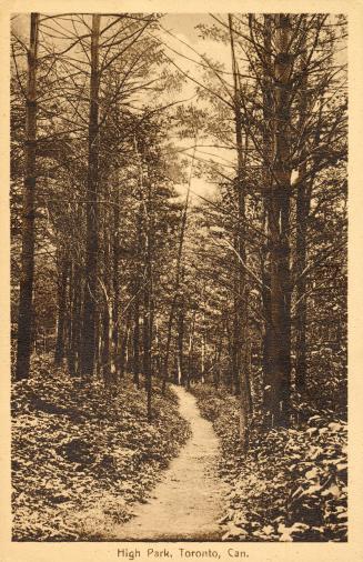 Sepia toned picture of a path running into a wooded area.