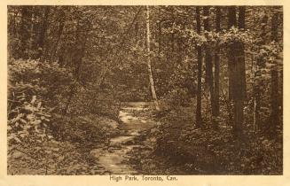 Sepia toned picture of a rocky path running through a wooded area.