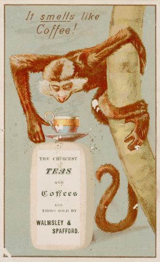 Colour trade card advertisement depicting an illustration of a monkey looking at a cup of coffe ...