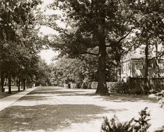 A photograph of a tree-lined city street, with one large house visible behind hedges and a fenc ...