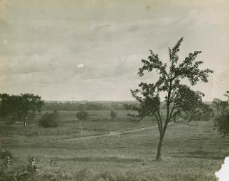 A photograph of a semi-rural area, with trees, fields and a road and fence running through the  ...
