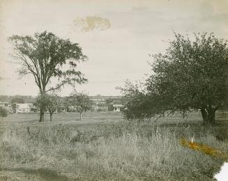 A photograph with a neighbourhood in the background, behind some trees and a grassy meadow area ...