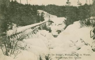 Black and white photograph of a bridge running through a wooded area.