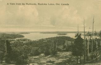 Black and white shot of forested land with large lake in the distance.