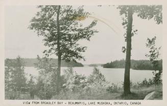 Black and white shot of forested land with large lake in the distance.