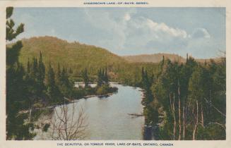 A river running through the wilderness.