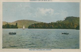 View of a lake with some boats and trees in the background. 