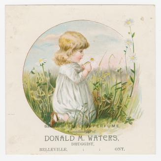 Colour trade card advertisement depicting an illustration of a girl looking at a white daisy. C ...