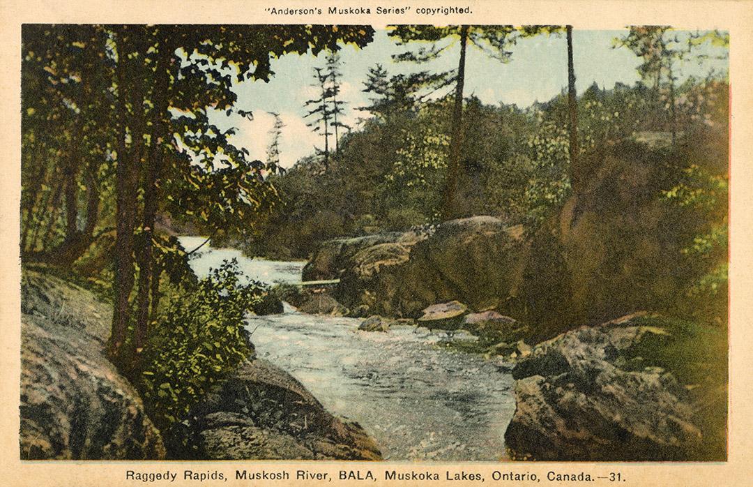 A river with rapids gushing through rocks in a wooded area.