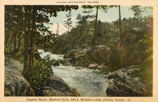 A river with rapids gushing through rocks in a wooded area.