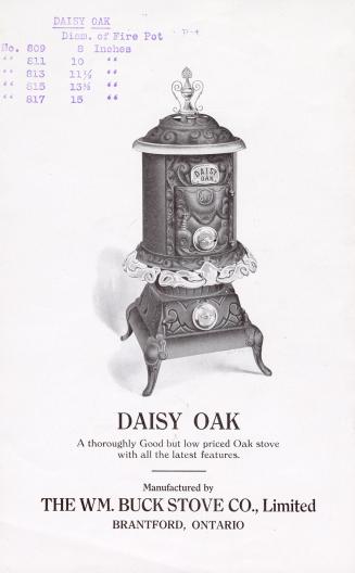 Daisy Oak