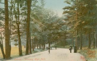 People walking and cycling on a road through a wooded area of very tall trees.