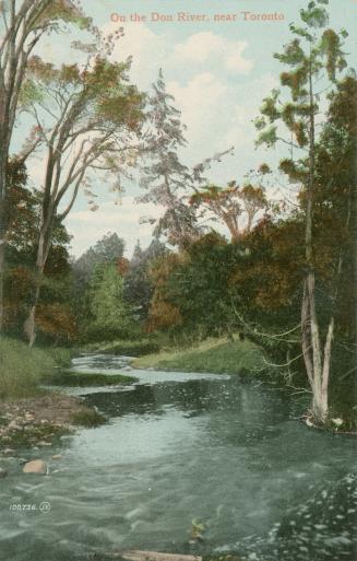 Colorized photograph of a valley surrounded by trees with a river running through it.