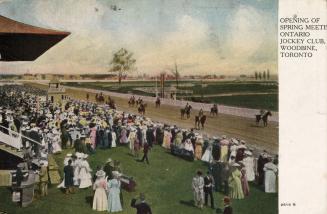 Group of people at a race track. 