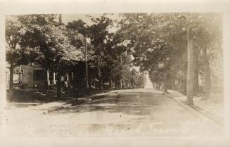 Picture of tree lined street.