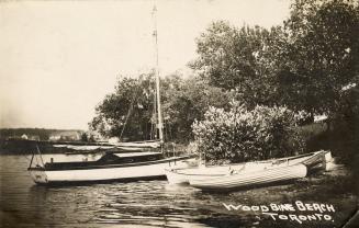 Photo of boats at edge of beach with trees on shore. 