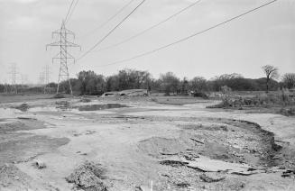 A photograph of a riverbank, with an electrical tower in the background and wires stretching aw ...