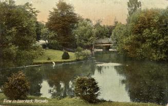 Colour postcard of a creek and park area with a bridge in the distance. The caption on the bott ...