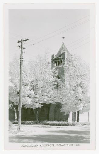 Black and white picture of a church spire hidden behind flowering trees.