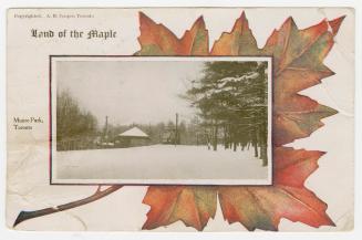 Picture of park in winter with street car in distance. Picture set in white border with maples  ...