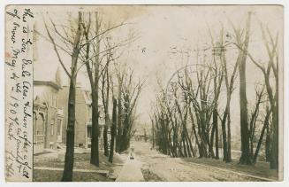 Picture of street scene with houses and large trees down street and median. 