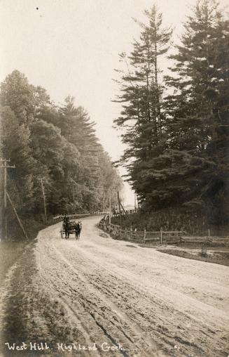Picture of a horse and carriage coming down a muddy hill road. 