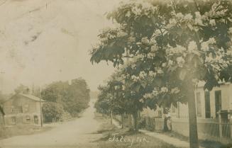 Black and white photograph of a dirt road in the country with houses and trees on each side of  ...