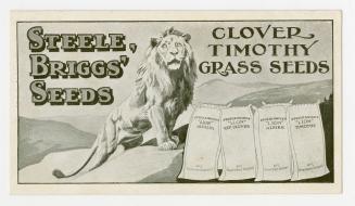 Illustrated image of a lion standing on a mountain top. Illustrated images of grass seed bags. 