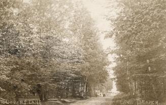 Sepia-toned photo postcard depicting a pathway through a forest. The caption at the bottom stat ...