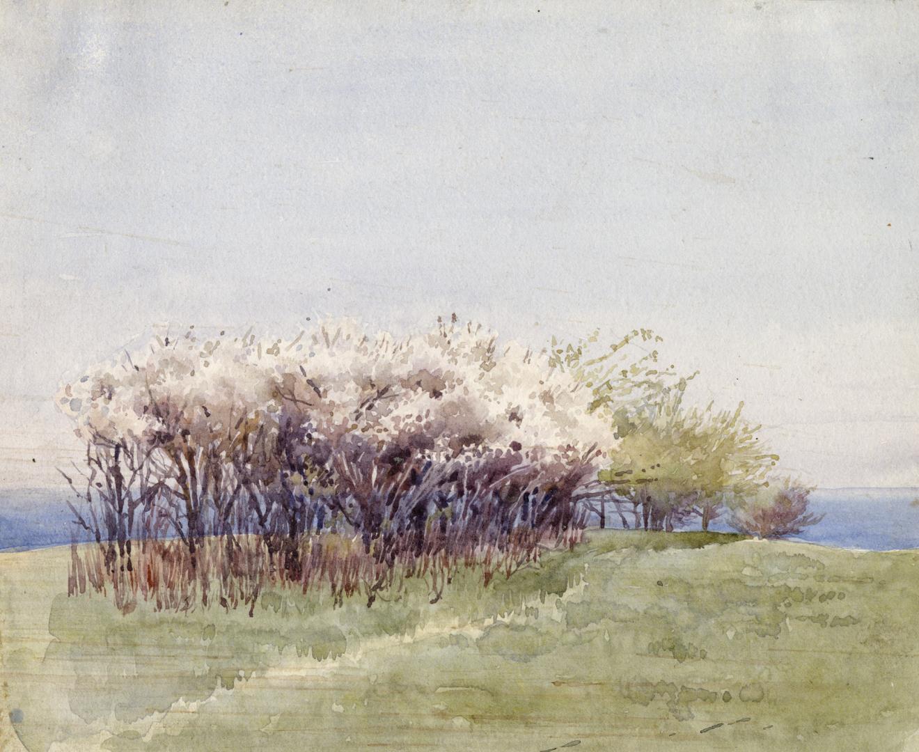 A watercolour painting of some bushes and small trees in the middle of a grassy area.